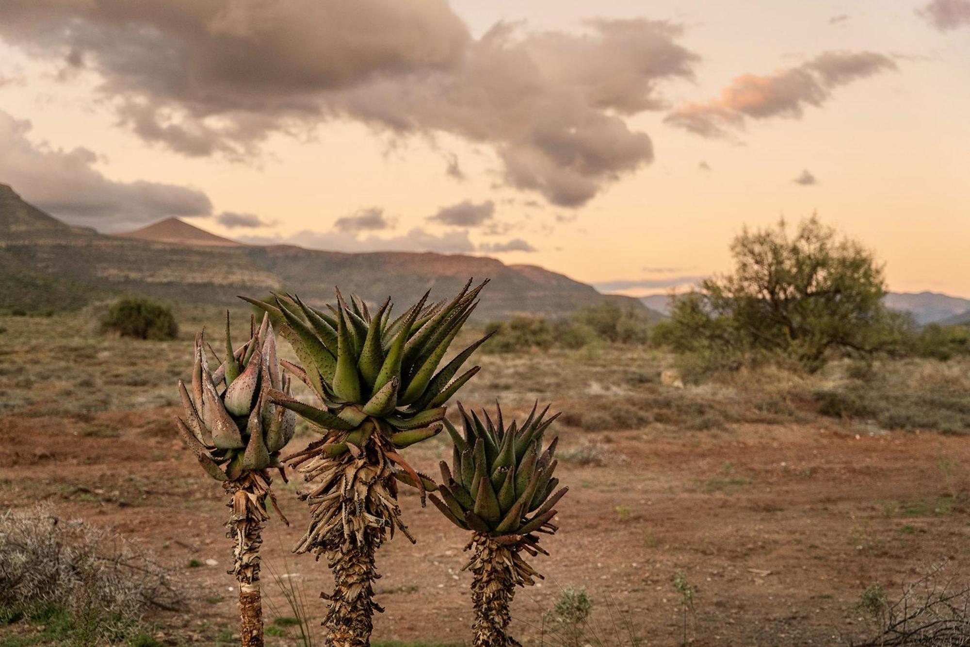 Graaff-ReinetSamara Karoo Reserve别墅 外观 照片